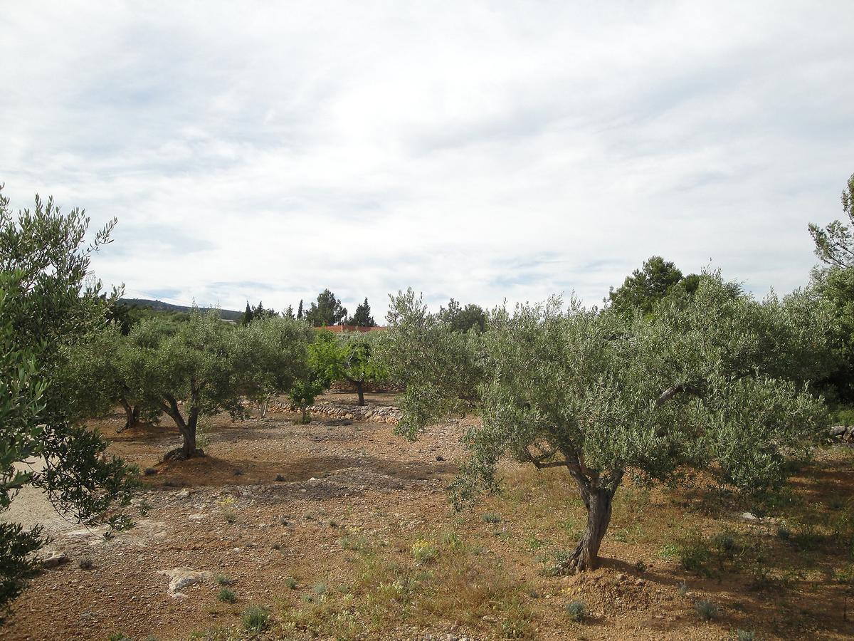 Holiday Home El Rinconcito By Interhome L'Ampolla Luaran gambar